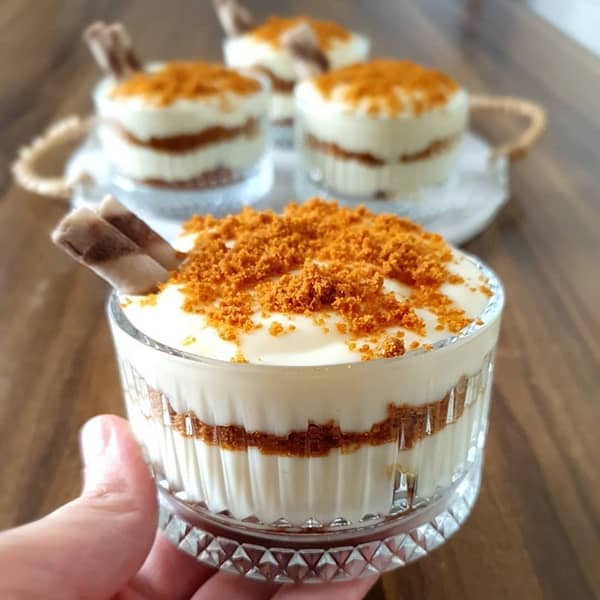 طرز تهیه مگنولیا شکلاتی