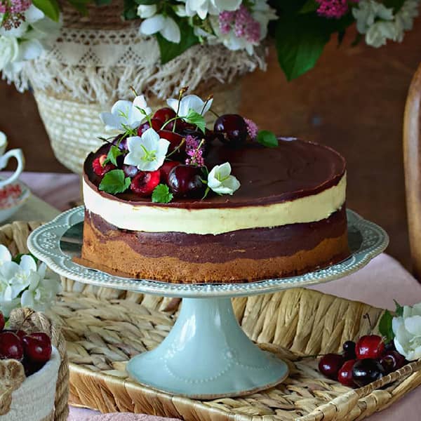 طرز تهیه کیک موج دانوب