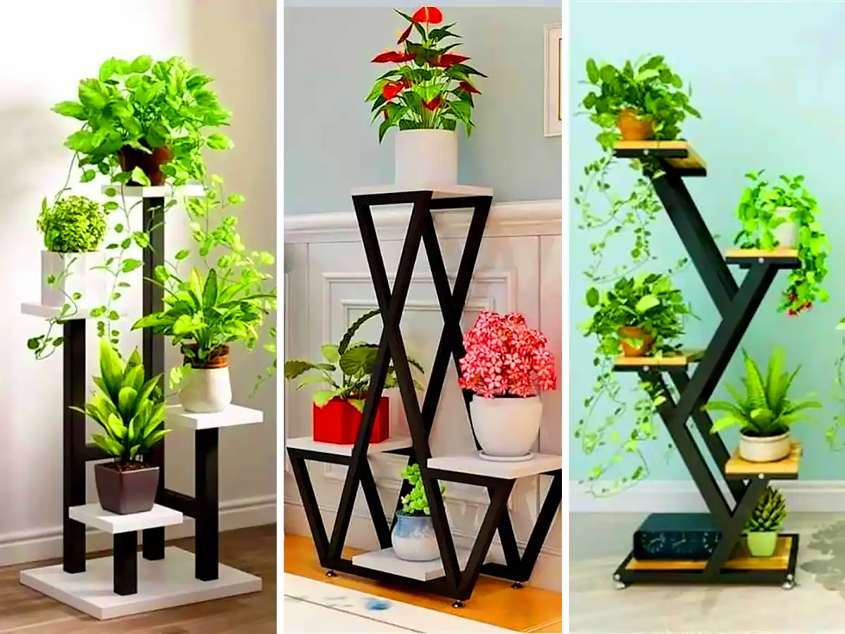 استند چند طبقه گلدون